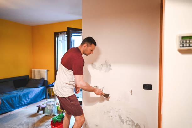 Best Black Mold Removal  in Eudora, KS